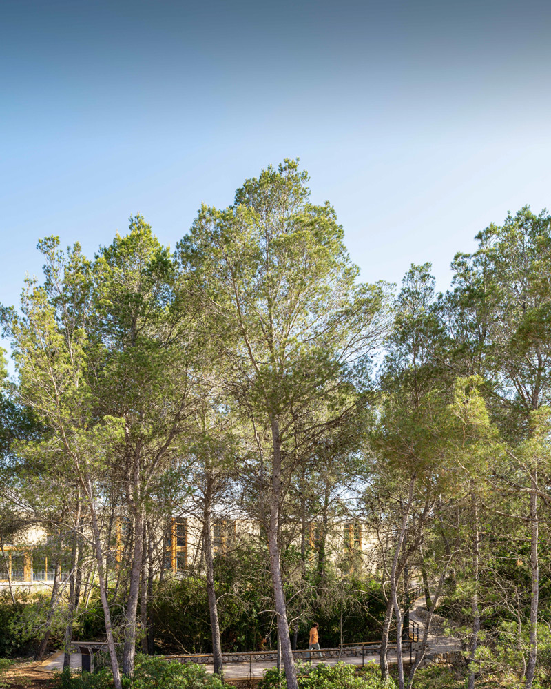 Recorrido del Recinto Arqueológico de Son Caulelles junto a la Residencia