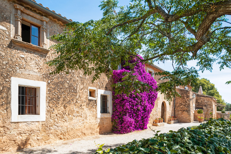 Fachada principal de Torrent Fals entre viñedos – fotografía de arquitectura en Mallorca