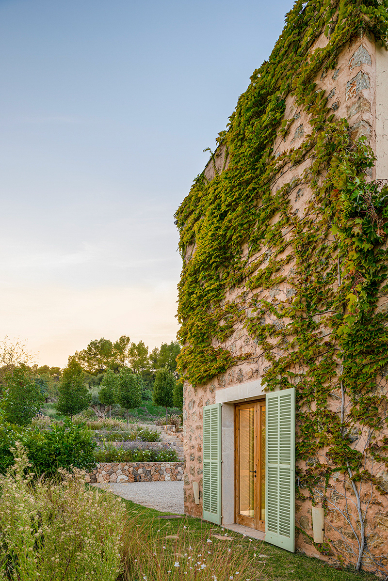 Fachada vegetal Detalle arquitectónico de Casa OD en Mallorca